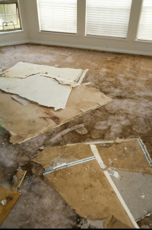 Signs of indoor water damage