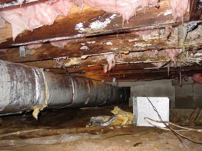 bad foundation due to mold