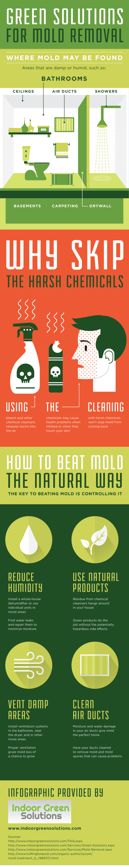 Green Solutions for Mold Removal