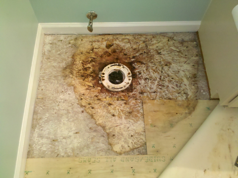 Common Causes of Water Damage in a Bathroom
