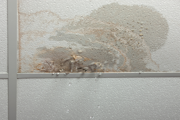 water stain on ceiling